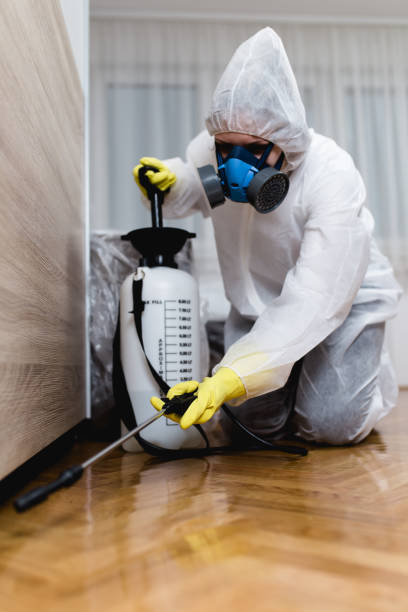 Best Commercial Pest Control  in Fort Polk North, LA